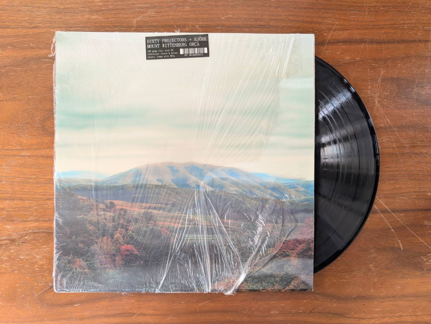 Dirty Projectors feat. Bjork